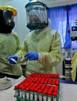 الوفيات بكورونا في فلسطين