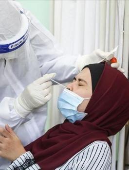 الوفيات والاصابات بكورونا في فلسطين