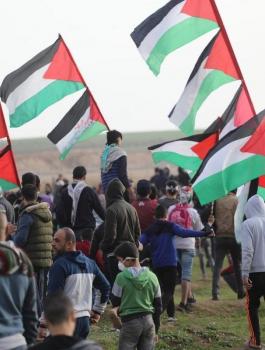 اعداد اللاجئيين الفلسطينيين في العالم