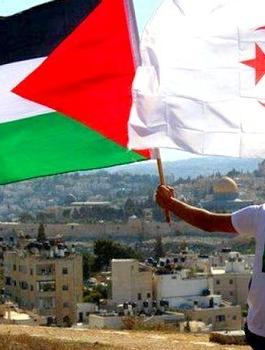 الجزائر وفلسطين