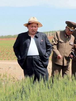 ازمة غذائية في كوريا الشمالية