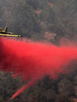 الحرائق في القدس