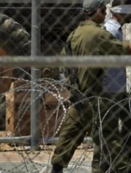 الاسرىة في سجن الجلمة