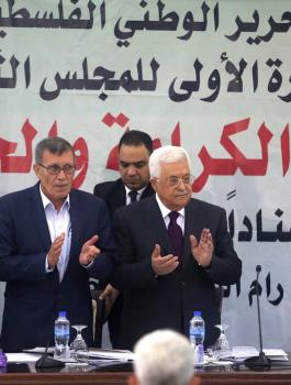 فتح غزة والمجلس الثوري
