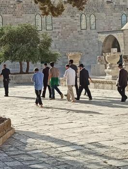 المستوطنون في الاقصى