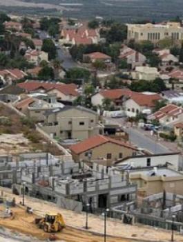 9999119188.jpg