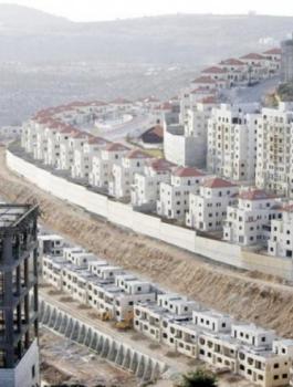 الاستيطان-1.jpg