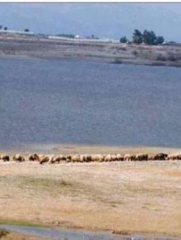 وفاة اطفال في الاردن غرقا
