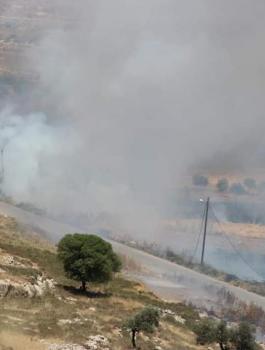 المستوطنون جالود