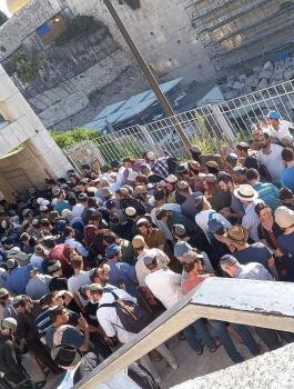 اقتحام الاقصى للمسجد الاقصى