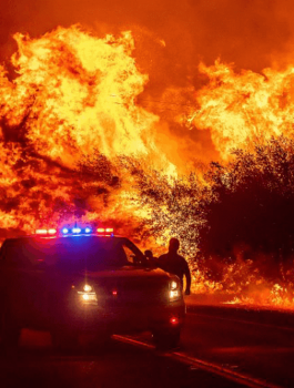 حرائق الغابات في اميركا