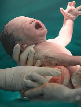 مواليد  جدد  في غزة