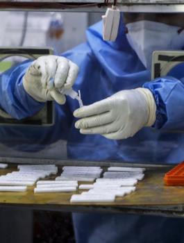 الطفرة الهندية في اسرائيل