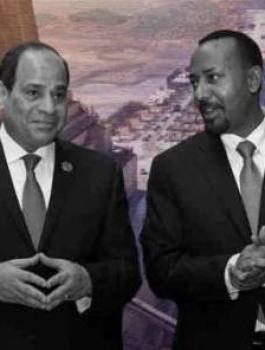 سيسي.jpg