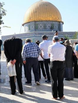 المستوطنين في الاقصى