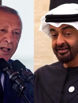 بن زايد وأردوغان