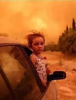 الحرائق في الجزائر