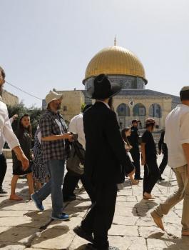 المستوطنون في الاقصى