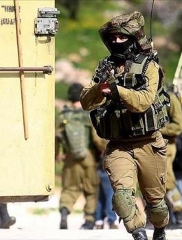 الجيش الاسرائيلي