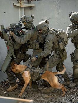 الجيش الاسرائيلي ومخيم جنين