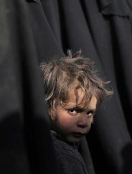 فلسطين واطفال داعش