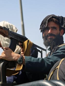 بن لادن وطالبان