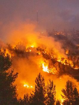 الحرائق في القدس