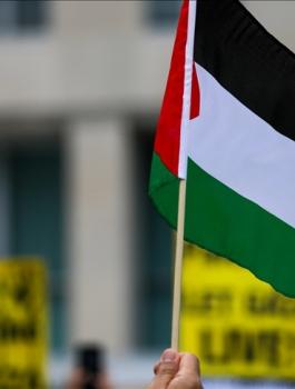 اميركا وفلسطين