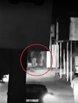 اسرائيل وقطاع غزة