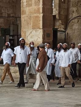 عشرات المستوطنين يقتحمون الاقصى