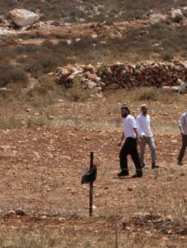 المستوطنون في بورين