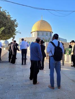 اقتحمات الاقصى