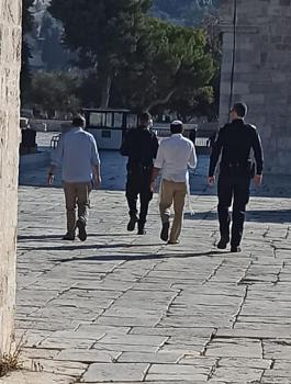 المستوطنين في الاقصى