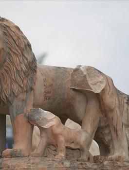 اسود رام الله