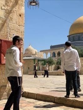 المستوطنون في الاقصى