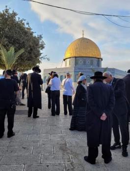 المستوطنون في الاقصى