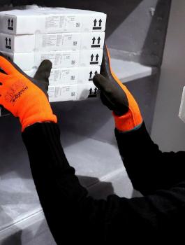 اسرائيل ولقاح فايزر