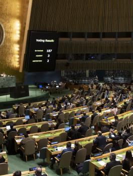 الامم المتحدة والفلسطينيين