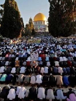 المستوطنون في الاقصى