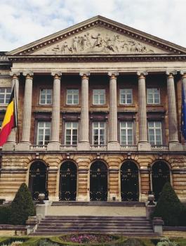 نائب بليجيكي