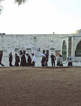 المستوطنون يقتحمون الاقصى