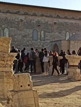 المستوطنون في الاقصى