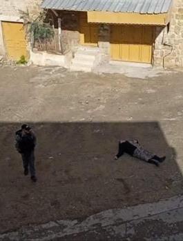 طعن في الخليل