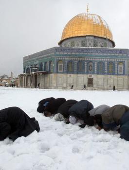 الثلوج في فلسطين