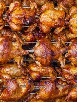 اجزاء من الدجاجة فقها سموم قاتلة