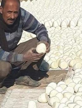 جميد الطلاء