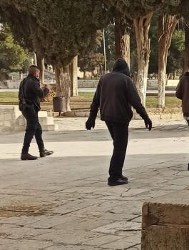 المستوطنون في الاقصى