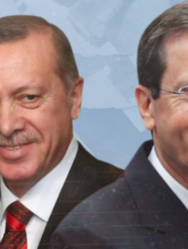 اسرائيل وهرتسوغ