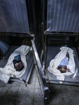 شهداء الاطفال في قطاع غزة