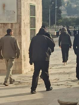 المستوطنون في الاقصى